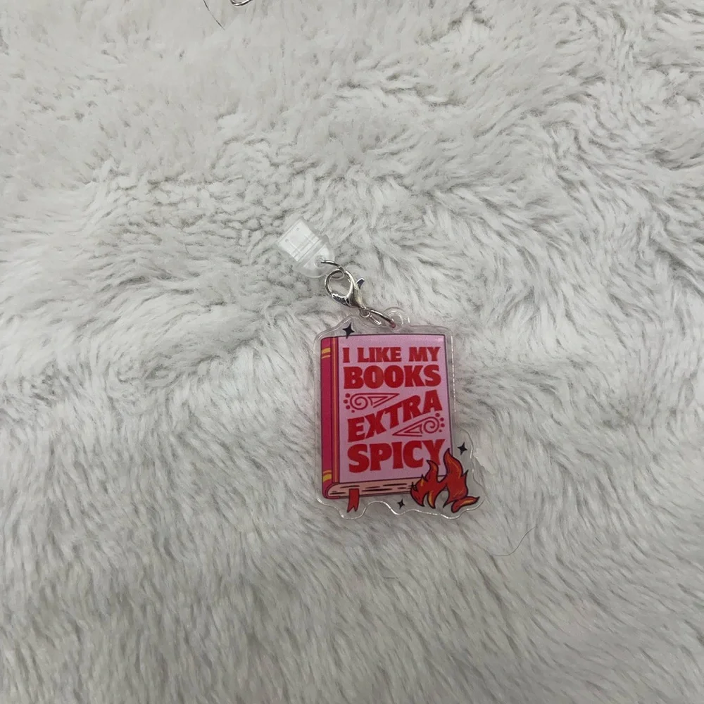 Kindle dust plug